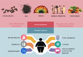 Graphical abstract: Natural polyphenols: a potential prevention and treatment strategy for metabolic syndrome