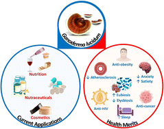 Graphical abstract: Therapeutic potential and nutritional significance of Ganoderma lucidum – a comprehensive review from 2010 to 2022