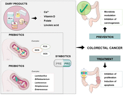 Graphical abstract: Colon microbiota modulation by dairy-derived diet: new strategy for prevention and treatment of colorectal cancer