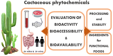 Graphical abstract: Cactaceae plants as sources of active bioavailable phytochemicals