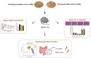 Graphical abstract: A comparison between partially peeled hulless barley and whole grain hulless barley: beneficial effects on the regulation of serum glucose and the gut microbiota in high-fat diet-induced obese mice