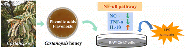 Graphical abstract: Chemical composition and anti-inflammatory activities of Castanopsis honey