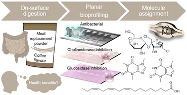 Graphical abstract: Ten-dimensional hyphenation including simulated static gastro-intestinal digestion on the adsorbent surface, planar assays, and bioactivity evaluation for meal replacement products