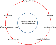 Graphical abstract: Honey polyphenols: regulators of human microbiota and health