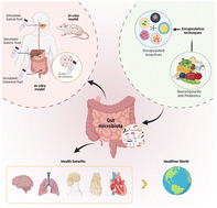 Graphical abstract: The modulatory effect of encapsulated bioactives and probiotics on gut microbiota: improving health status through functional food