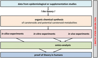 Graphical abstract: State-of-the-art methodological investigation of carotenoid activity and metabolism – from organic synthesis via metabolism to biological activity – exemplified by a novel retinoid signalling pathway