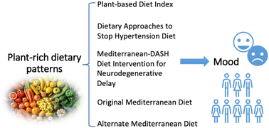 Graphical abstract: Plant-based dietary patterns and their association with mood in healthy individuals