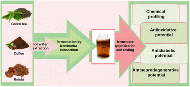 Graphical abstract: The chemical profiling and assessment of antioxidative, antidiabetic and antineurodegenerative potential of Kombucha fermented Camellia sinensis, Coffea arabica and Ganoderma lucidum extracts