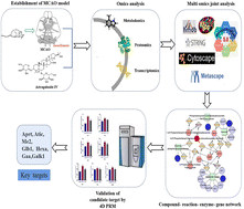 Graphical abstract: Integrated transcriptomics, proteomics and metabolomics to identify biomarkers of astragaloside IV against cerebral ischemic injury in rats