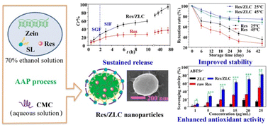 Graphical abstract: Development of carboxymethyl chitosan-coated zein/soy lecithin nanoparticles for the delivery of resveratrol