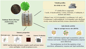 Graphical abstract: Uncovering the effect of Moringa oleifera Lam. leaf addition to Fuzhuan Brick Tea on sensory properties, volatile profiles and anti-obesity activity