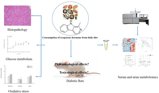 Graphical abstract: Health effects of exposure to β-carboline heterocyclic amines: insight into metabolic perturbations and biochemical analysis