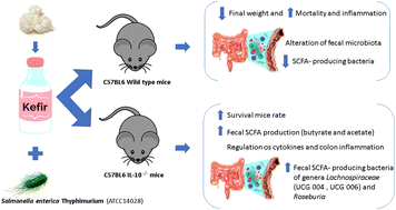 Graphical abstract: The role of IL-10 in regulating inflammation and gut microbiome in mice consuming milk kefir and orally challenged with S. Typhimurium