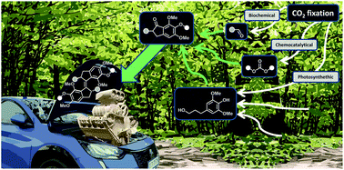 Graphical abstract: A molecular motor from lignocellulose