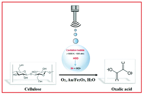 Graphical abstract: Ultrasonic-assisted oxidation of cellulose to oxalic acid over gold nanoparticles supported on iron-oxide