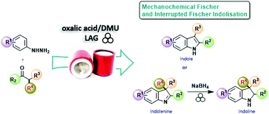Graphical abstract: Mechanochemical Fischer indolisation: an eco-friendly design for a timeless reaction