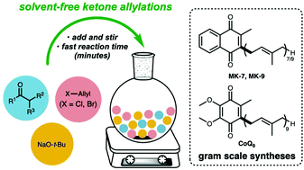 Graphical abstract: Allylations of aryl/heteroaryl ketones: neat, clean, and sustainable. Applications to targets in the pharma- and nutraceutical industries