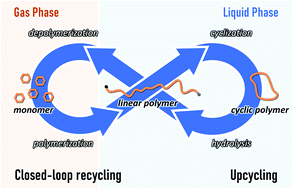 Graphical abstract: Integration of upcycling and closed-loop recycling through alternative cyclization–depolymerization