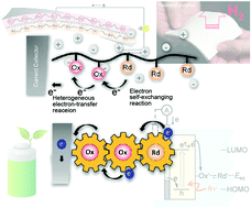 Graphical abstract: Organic redox polymers as electrochemical energy materials