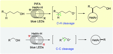Graphical abstract: Metal-free photo-induced heteroarylations of C–H and C–C bonds of alcohols by flow chemistry