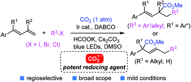 Graphical abstract: Visible-light-driven regioselective carbocarboxylation of 1,3-dienes with organic halides and CO2