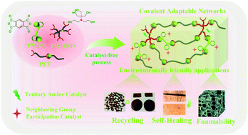 Graphical abstract: Facile in situ construction of a covalent adaptable network polyester vitrimer with advanced performance in repairability, foamability and recyclability
