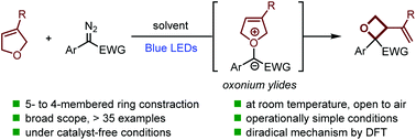 Graphical abstract: Photoinduced synthesis of functionalized oxetanes via diradical-mediated ring contraction