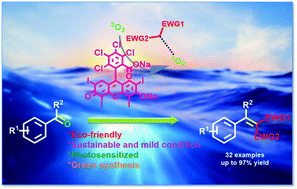 Graphical abstract: Rose bengal photocatalyzed Knoevenagel condensation of aldehydes and ketones in aqueous medium