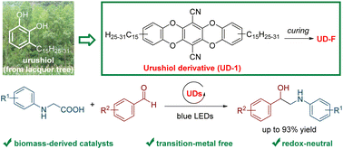 Graphical abstract: Urushiol derivatives as biomass-based photocatalysts for the transition-metal-free synthesis of 1,2-amino alcohols