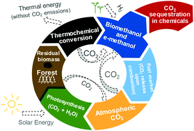 Graphical abstract: Carbon neutral methanol from pulp mills towards full energy decarbonization: an inside perspective and critical review