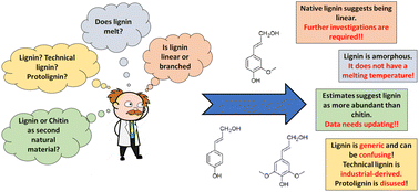 Graphical abstract: Mystifications and misconceptions of lignin: revisiting understandings
