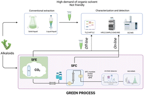 Graphical abstract: Sustainable approaches for the study of alkaloids from plants using supercritical fluid-based processes