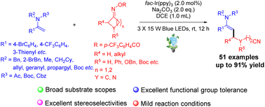 Graphical abstract: Photoredox-catalyzed regio- & stereoselective C(sp2)–H cyanoalkylation of enamides with cycloketone oximes via selective C–C bond cleavage/radical addition cascade