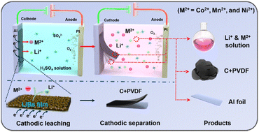 Graphical abstract: Cathode electrolysis for the comprehensive recycling of spent lithium-ion batteries