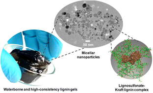 Graphical abstract: Organic solvent-free production of colloidally stable spherical lignin nanoparticles at high mass concentrations