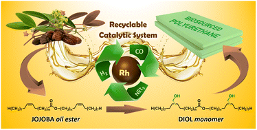 Graphical abstract: Synthesis of diols from jojoba oil via rhodium-catalyzed reductive hydroformylation: a smart way to access biobased polyurethanes