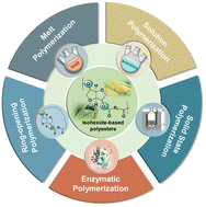 Graphical abstract: Short-process synthetic strategies of sustainable isohexide-based polyesters towards higher molecular weight and commercial applicability