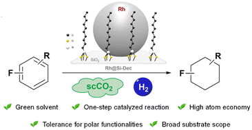 Graphical abstract: Supercritical carbon dioxide as reaction medium for selective hydrogenation of fluorinated arenes