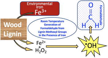 Graphical abstract: Formaldehyde emission from wood promoted by lignin in the presence of iron residues