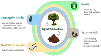Graphical abstract: Lignin for energy applications – state of the art, life cycle, technoeconomic analysis and future trends
