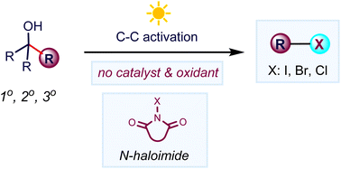 Graphical abstract: N-Haloimide-enabled halogenation via halogen-bond-assisted C–C activation of alkanols