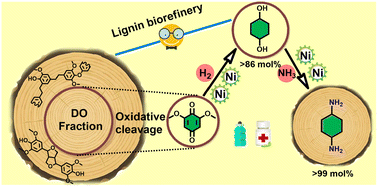 Graphical abstract: High yield production of 1,4-cyclohexanediol and 1,4-cyclohexanediamine from high molecular-weight lignin oil