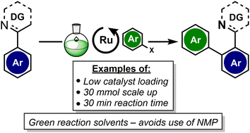Graphical abstract: Improving the sustainability of the ruthenium-catalysed N-directed C–H arylation of arenes with aryl halides