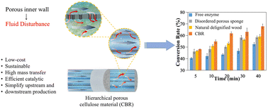 Graphical abstract: Wood-inspired high-efficiency bioreactors with hierarchical porous structures for continuous flow reactions