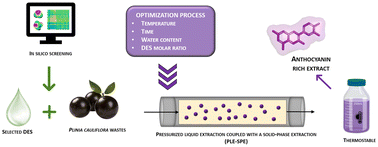 Graphical abstract: Combining eutectic solvents and pressurized liquid extraction coupled in-line with solid-phase extraction to recover, purify and stabilize anthocyanins from Brazilian berry waste