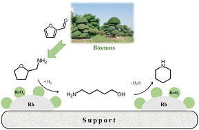Graphical abstract: Selective hydrogenolysis of bio-renewable tetrahydrofurfurylamine to piperidine on ReOx-modified Rh catalysts
