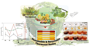 Graphical abstract: High performance, recyclable and sustainable by design natural polyphenol-based epoxy polyester thermosets