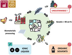 Graphical abstract: Valorization of chicken feathers using aqueous solutions of ionic liquids
