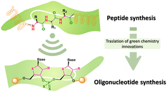 Graphical abstract: From green innovations in oligopeptide to oligonucleotide sustainable synthesis: differences and synergies in TIDES chemistry