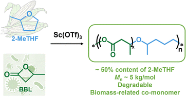 Graphical abstract: Poly(ester-co-ether) from ring-opening copolymerisation of sustainable 2-methyltetrahydrofuran with β-butyrolactone